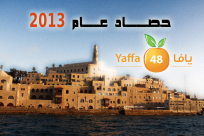 بالفيديو: حصاد عام 2013 من موقع يافا 48 - أبرز الأحداث واكثر اللقطات اثارة ودهشة